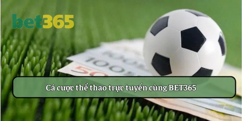 Cá cược thể thao trực tuyến cùng BET365