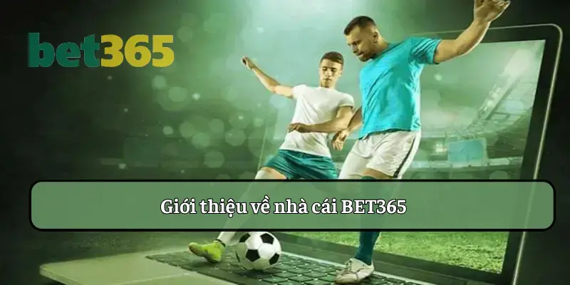 Bật mí nhiều điều về nhà cái BET365