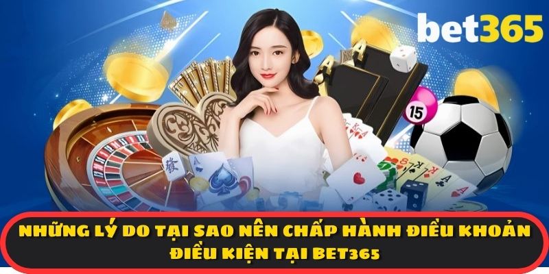 Những lý do tại sao nên chấp hành điều khoản điều kiện tại BET365