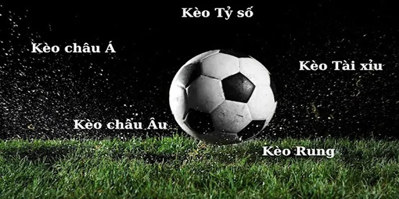 Top 5 bí kíp soi kèo bóng đá cực chuẩn